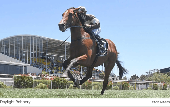 Daylight Robbery Race Image