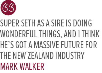 Super Seth as a sire is doing wonderful things, and I think he’s got a massive future for the New Zealand industry Ma...