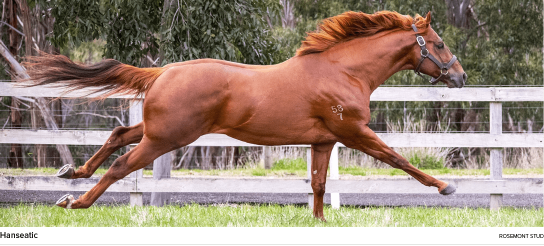 Hanseatic rosemont stu