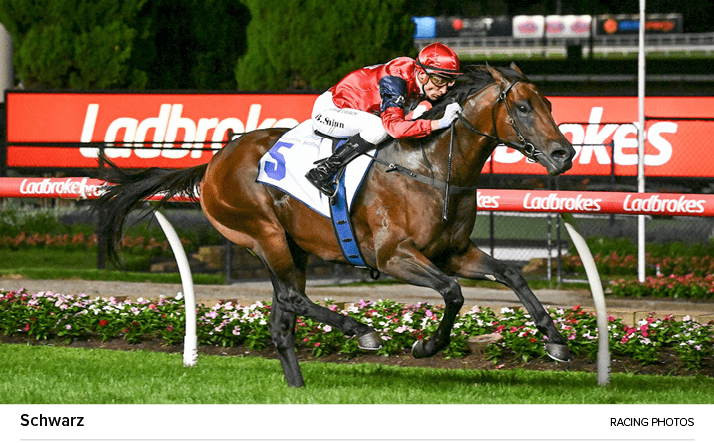 Schwarz racing photo