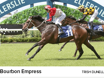 Bourbon Empress Trish Dunel