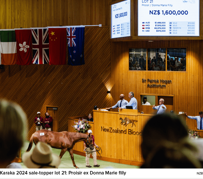 Karaka 2024 sale topper lot 21: Proisir ex Donna Marie filly nz
