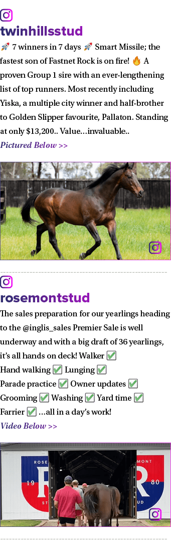 ￼ twinhillsstud 🚀 7 winners in 7 days 🚀 Smart Missile; the fastest son of Fastnet Rock is on fire! 🔥 A proven Grou...