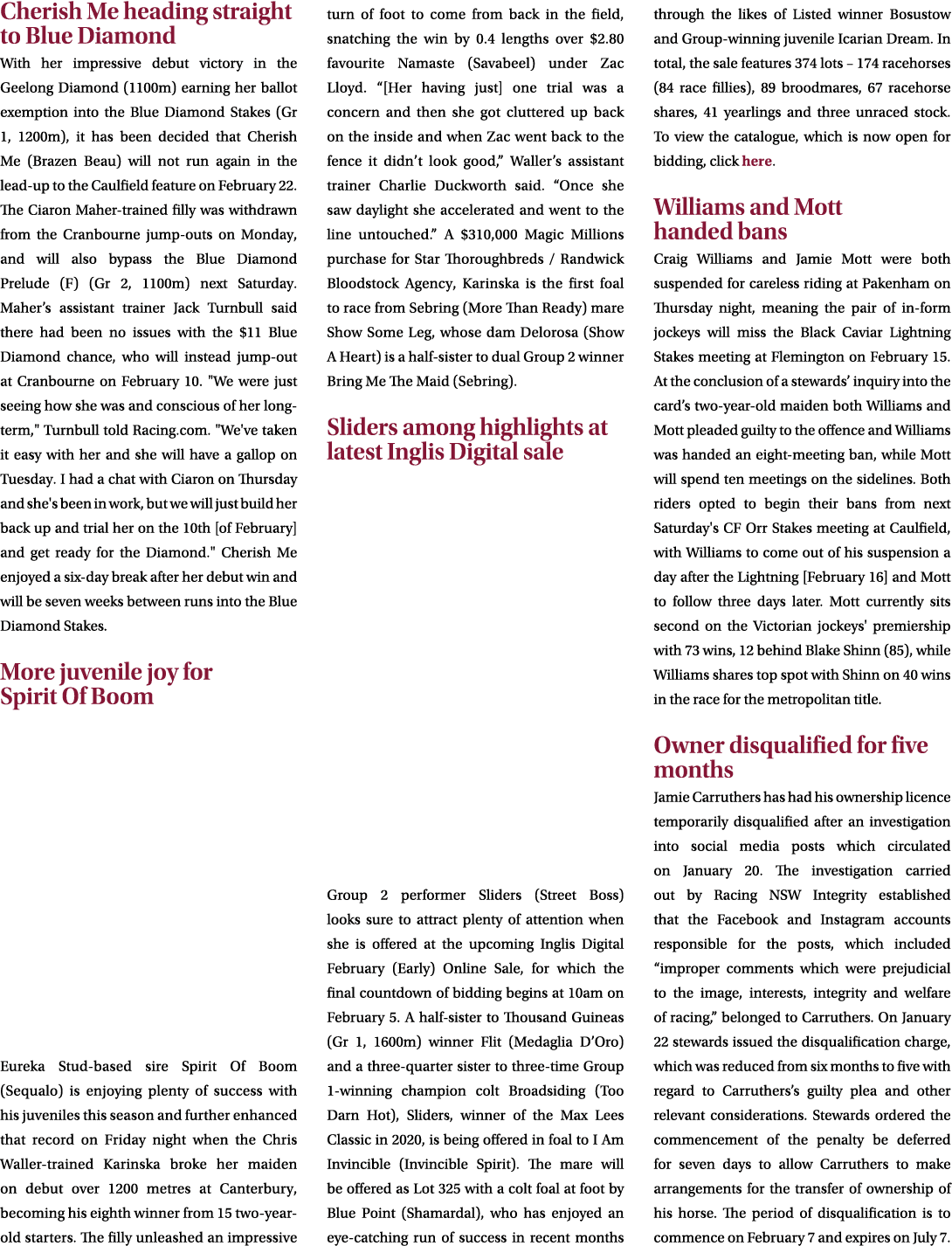 Cherish Me heading straight to Blue Diamond With her impressive debut victory in the Geelong Diamond (1100m) earning ...