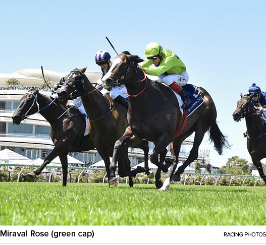 Miraval Rose (green cap) racing photo