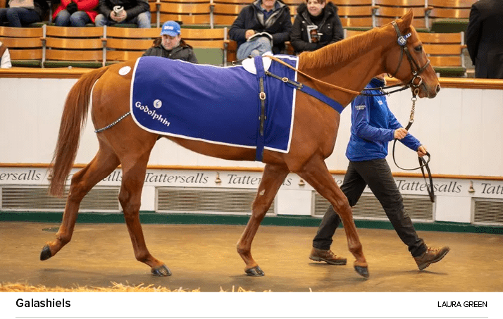 Galashiels Laura Gree