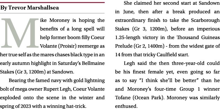 ￼ Mike Moroney is hoping the benefits of a long spell will help former boom filly Coeur Volante (Proisir) reemerge as...