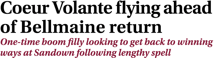 Coeur Volante flying ahead of Bellmaine return One time boom filly looking to get back to winning ways at Sandown fol...