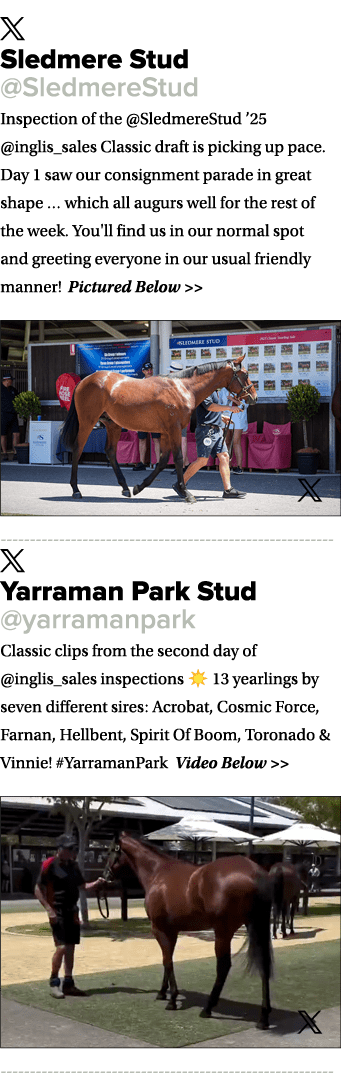 ￼ Sledmere Stud @SledmereStud Inspection of the @SledmereStud ’25 @inglis_sales Classic draft is picking up pace. Day...