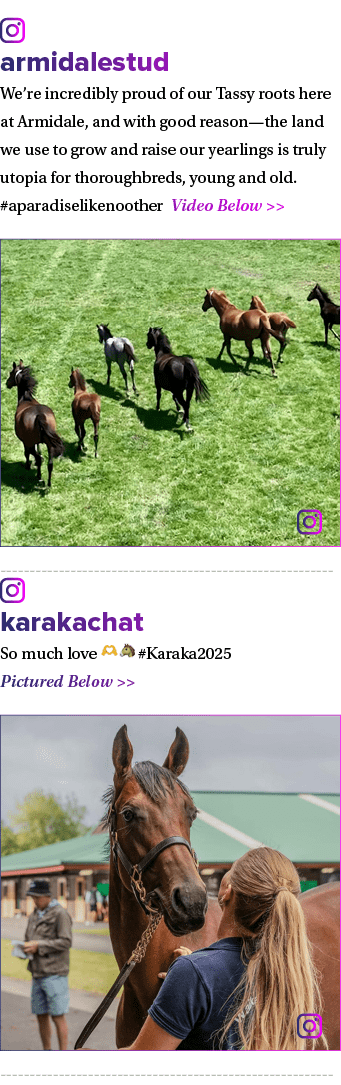 ￼ armidalestud We’re incredibly proud of our Tassy roots here at Armidale, and with good reason—the land we use to gr...