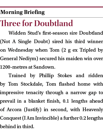  ￼ Three for Doubtland Widden Stud’s first season sire Doubtland (Not A Single Doubt) sired his third winner on Wedne...