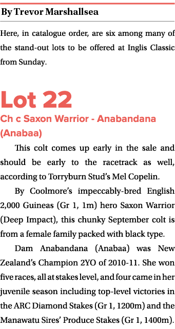 ￼ Here, in catalogue order, are six among many of the stand out lots to be offered at Inglis Classic from Sunday. Lot...