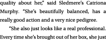 quality about her,” said Sledmere’s Catriona Murphy. “She’s beautifully balanced, has a really good action and a very...