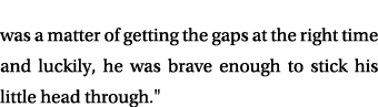 was a matter of getting the gaps at the right time and luckily, he was brave enough to stick his little head through.\“ 