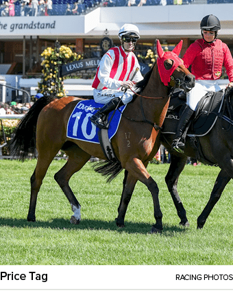 Price Tag racing photo