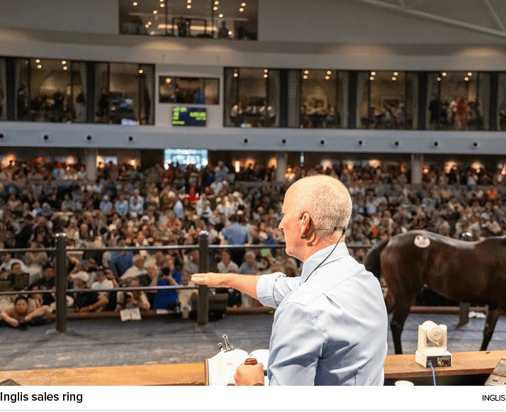 Inglis sales ring ingli