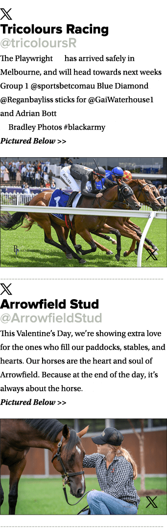 ￼ Tricolours Racing @tricoloursR The Playwright ✍️ has arrived safely in Melbourne, and will head towards next weeks ...