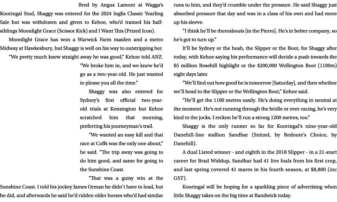 Bred by Angus Lamont at Wagga’s Kooringal Stud, Shaggy was entered for the 2024 Inglis Classic Yearling Sale but was ...