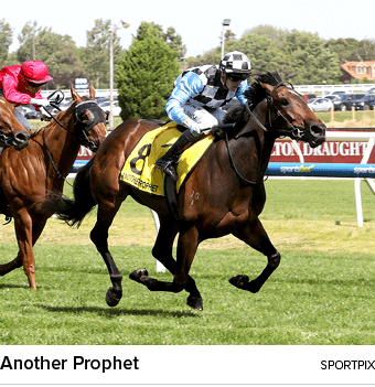 Another Prophet sportpi