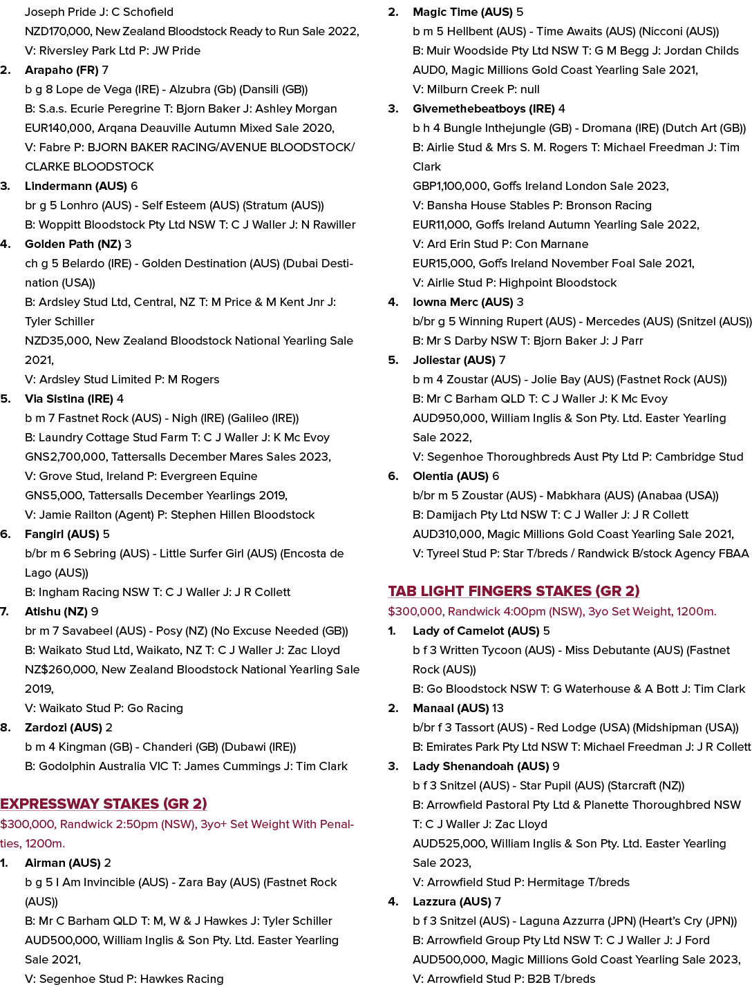 Joseph Pride J: C Schofield NZD170,000, New Zealand Bloodstock Ready to Run Sale 2022, V: Riversley Park Ltd P: JW Pr...