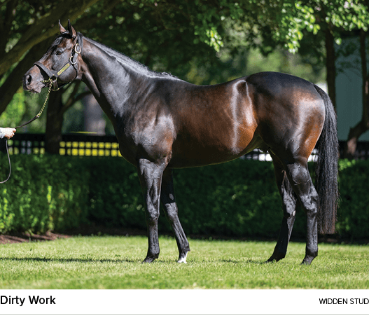 Dirty Work widden STU