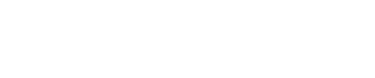 Magic Millions Perth Yearling Sale Pinhook Results