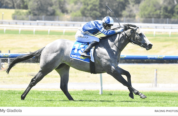 My Gladiola Racing Photo