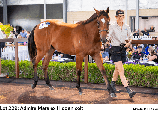 Lot 229: Admire Mars ex Hidden colt Magic Million