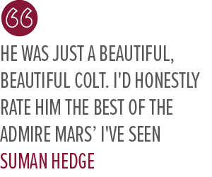 He was just a beautiful, beautiful colt. I'd honestly rate him the best of the Admire Mars’ I've seen Suman Hedg