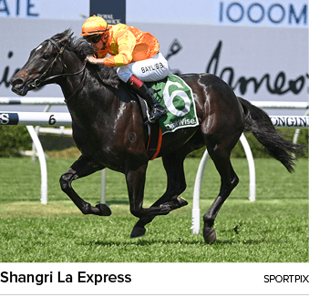 Shangri La Express Sportpi