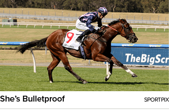 She’s Bulletproof Sportpi