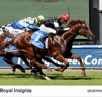 Royal Insignia sportpi