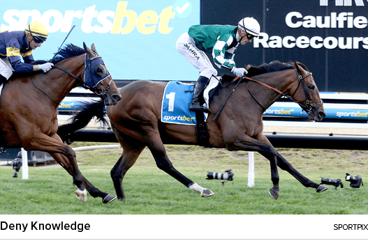 Deny Knowledge sportpi