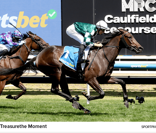 Treasurethe Moment sportpi