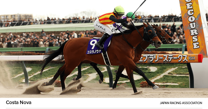 Costa Nova Japan Racing Associatio