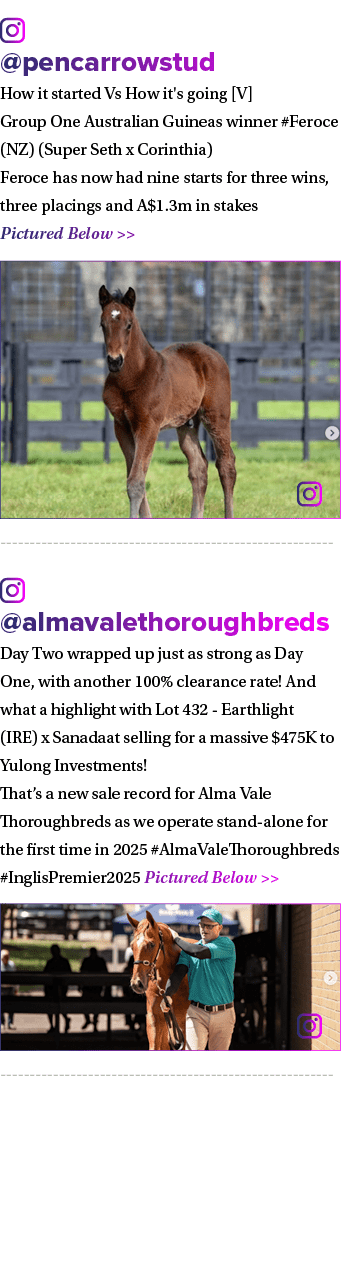 ￼ @pencarrowstud How it started Vs How it's going [V] Group One Australian Guineas winner #Feroce (NZ) (Super Seth x ...