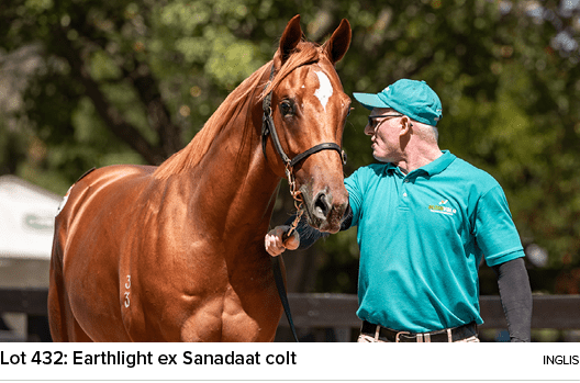 Lot 432: Earthlight ex Sanadaat colt ingli