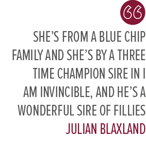 She’s from a blue chip family and she’s by a three time champion sire in I Am Invincible, and he’s a wonderful sire o...