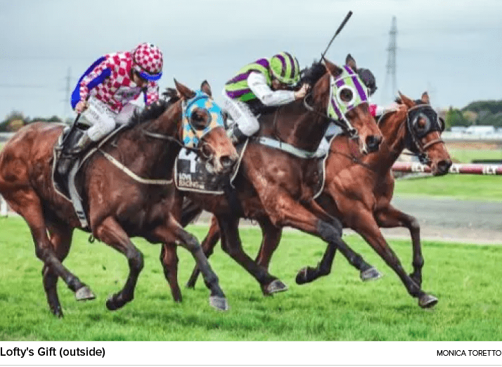 Lofty's Gift (outside) Monica Torett