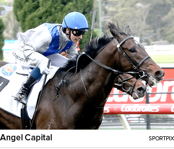 Angel Capital sportpi