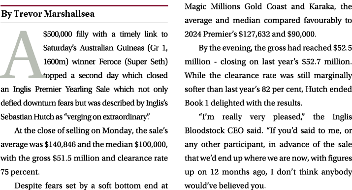 ￼ A $500,000 filly with a timely link to Saturday’s Australian Guineas (Gr 1, 1600m) winner Feroce (Super Seth) toppe...