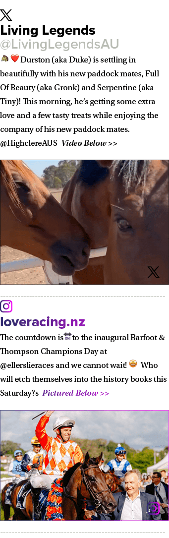 ￼ Living Legends @LivingLegendsAU 🐴 ❤️ Durston (aka Duke) is settling in beautifully with his new paddock mates, Ful...