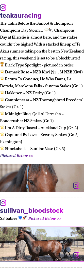 ￼ teakauracing The Calm Before the Barfoot & Thompson Champions Day Storm… 🌩️🏇. Champions Day at Ellerslie is almos...