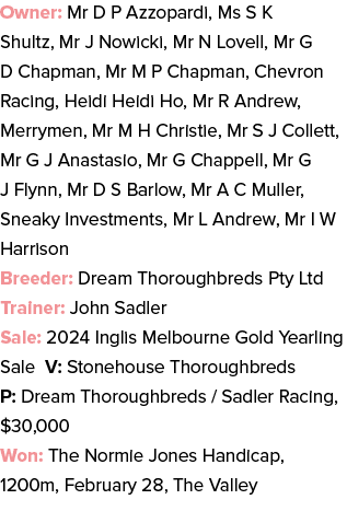 Owner: Mr D P Azzopardi, Ms S K Shultz, Mr J Nowicki, Mr N Lovell, Mr G D Chapman, Mr M P Chapman, Chevron Racing, He...