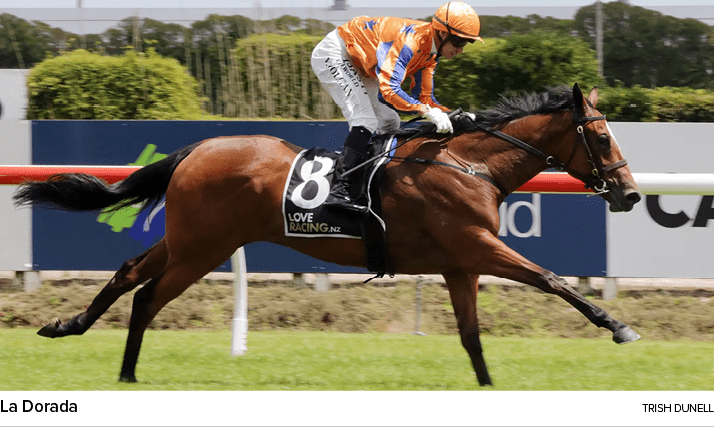 La Dorada Trish Dunel