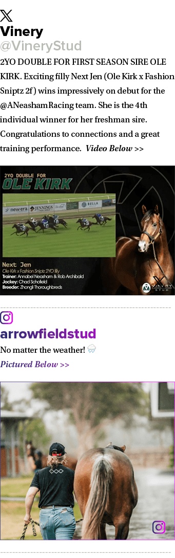 ￼ Vinery @VineryStud 2YO DOUBLE FOR FIRST SEASON SIRE OLE KIRK. Exciting filly Next Jen (Ole Kirk x Fashion Sniptz 2f...