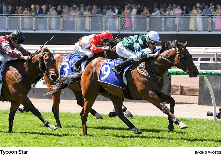 Tycoon Star racing photo