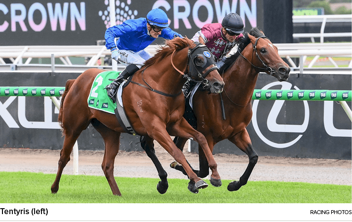 Tentyris (left) racing photo