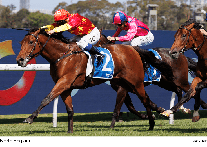 North England sportpi