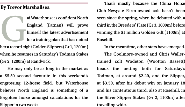 ￼ Gai Waterhouse is confident North England (Farnan) will prove himself the latest advertisement for a training plan ...